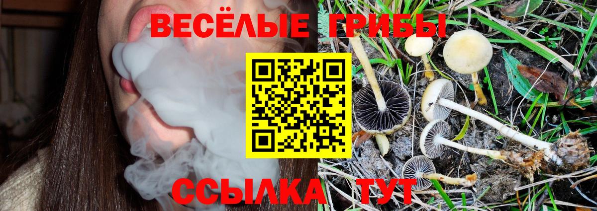 где можно купить   Псилоцибиновые грибы прущие грибы  Нижнеудинск  Вход с VPN  Галлюциногенные грибы мухоморы 